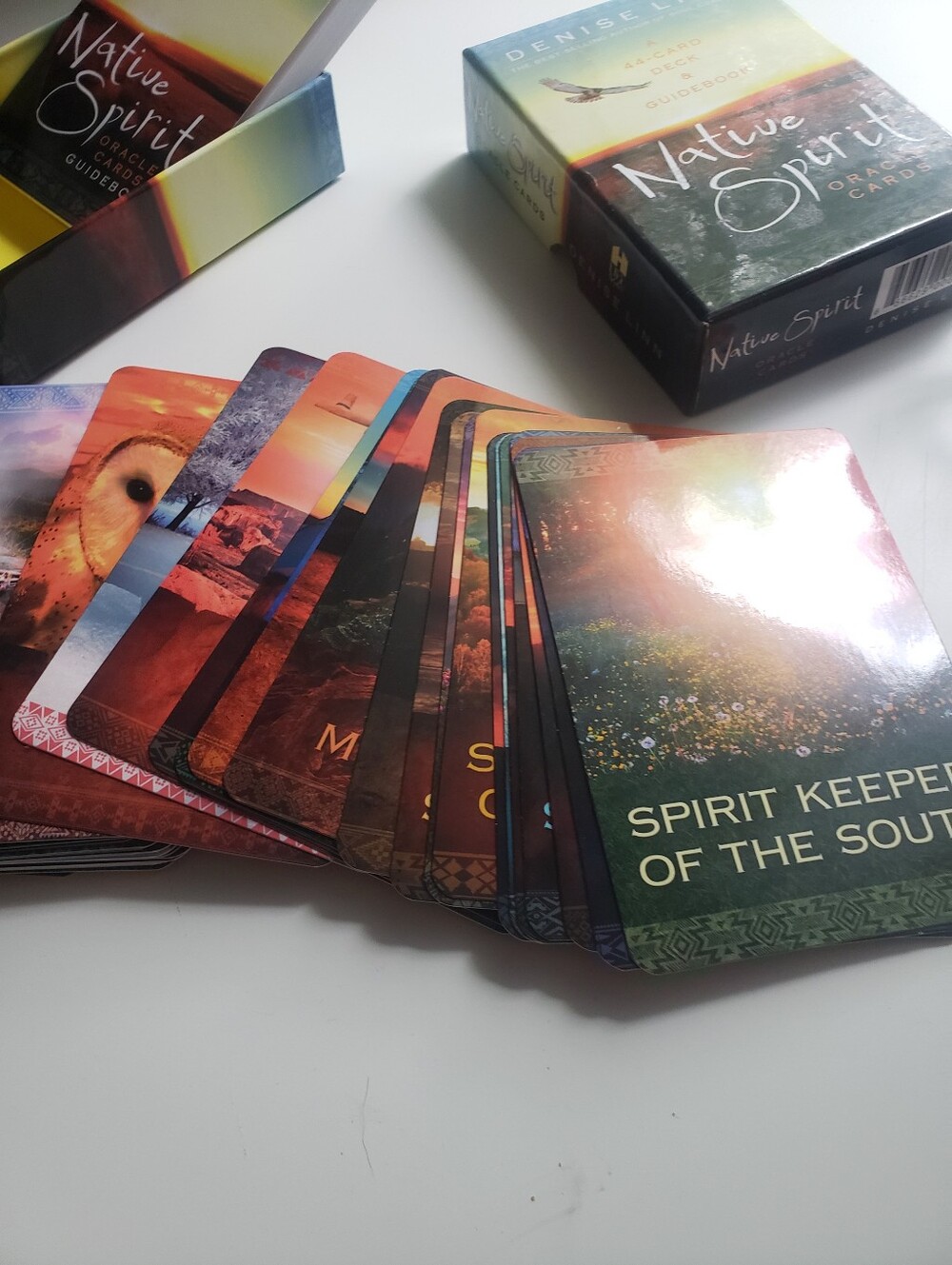 Native Spirit 44 Oracle Cards - Colorful Nature Artwork
